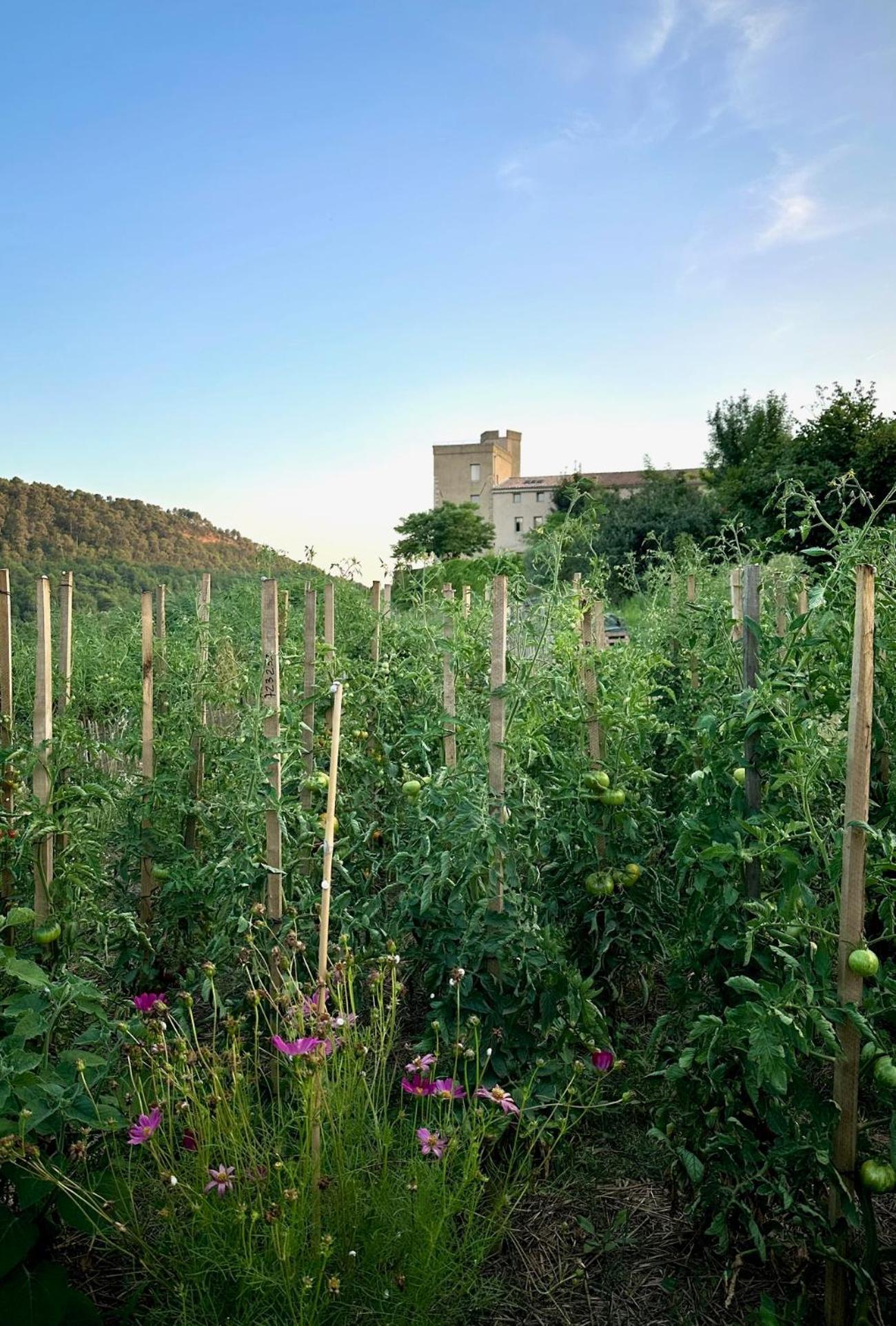 Bed and Breakfast Domaine La Ferme Hi Bride Villelaure Екстер'єр фото